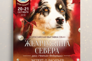Афиша для выставки собак