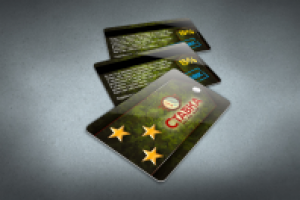 Работа 2024211