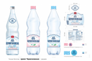 . Принимала участие в разработке проекта в рамках STUDIOIN