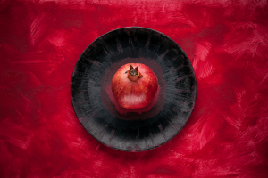 Предметная съемка "Гранатовый винил"