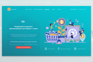 Фин. консалтинг