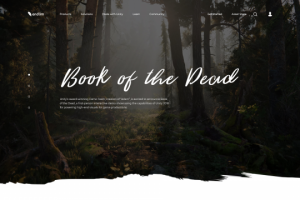 Дизайн сайта про книги