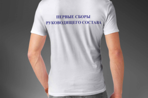 Работа 3135360