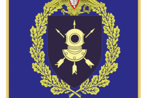 Работа 3135349