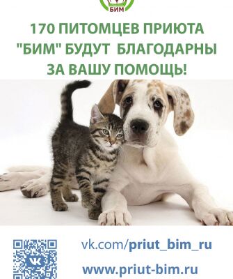 img3861425.png