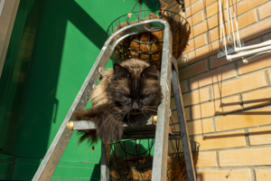 Работа 3851881