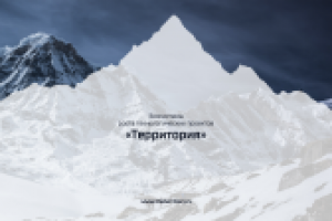 Работа 2973911