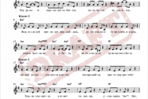 Белые Халаты