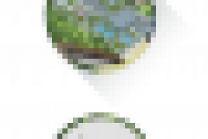 Иллюстрация для сайта Реготмас