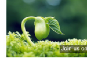 Дизайн эмайл рассылки