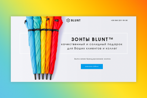 Зонты BLUNT (Мультилендинг)