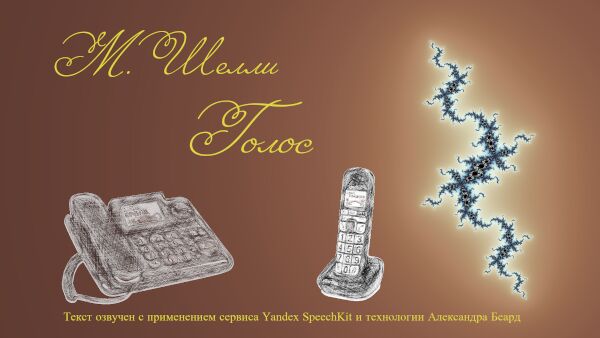 img3729819.png