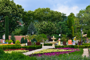 Ботанический сад