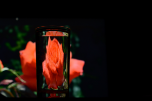 Сквозь призму воды