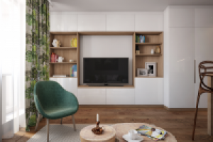 Студия с зеленым акцентом 5