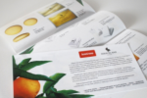 Лифлет для компании "Бизнес Столица"