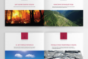 ООО «Макра союзного государства»