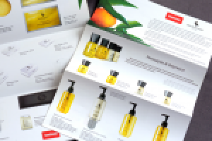 Бизнес Столица