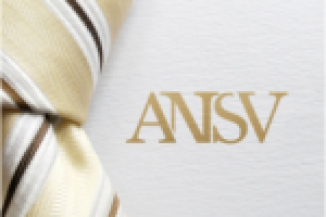 Разработка логотипа для компании "АНСВ партнерс"