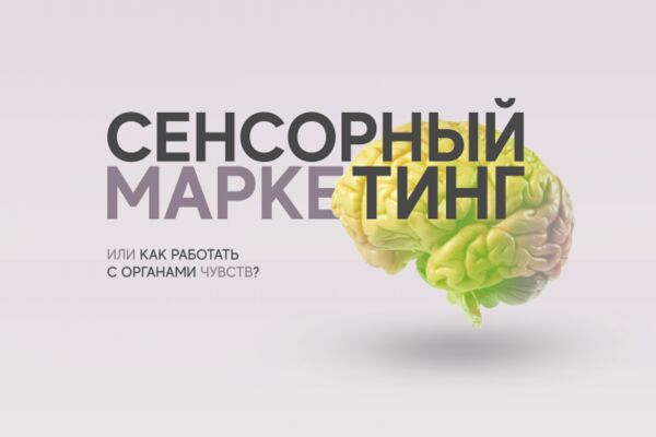 img3869669.png