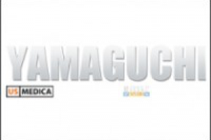 Yamaguchi Electronics Solutions (о компании)