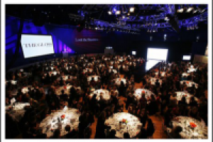 Организация мероприятий "VIP Production" (О компании)