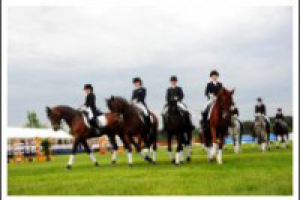 Интервью с Алексеем Бутенко