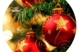 LP Доставка искусственных ёлок