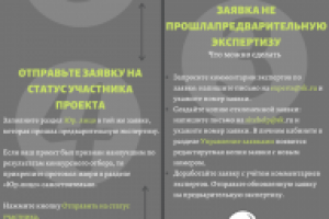 инфографика для проекта Сколково