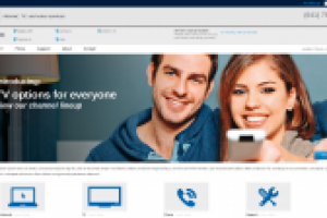 Разработка Американского портала Panora
