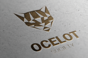 Работа 2618129