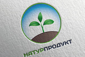 Работа 2211164