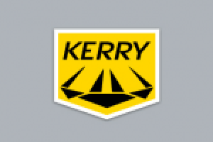 Работа 1110031