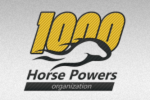 Работа 1110132