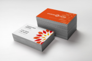 Работа 2618083