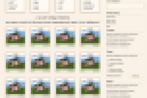 Строительная фирма