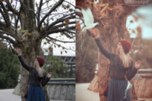 девушка и птици