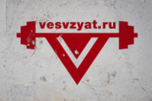 Разработка лого для интернет магазина тяжелой атлетики