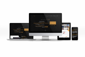 (под ключ) Landing Page для TWINS