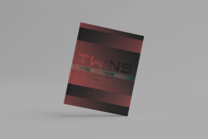 Фирменный стиль для TWINS