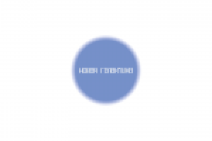 Работа 3062155