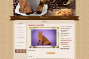 Питомник кошек