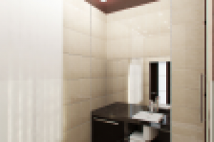 Гостевой санузел