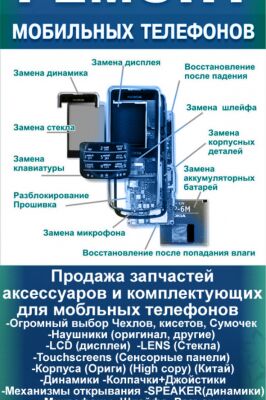 img3347037.png
