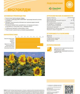 img3140787.png