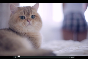 Открой себя новую с FreeForm