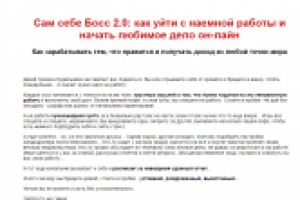 Сам себе Босс