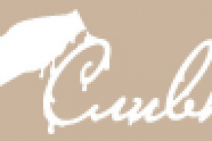 Ночной клуб "Сливки"