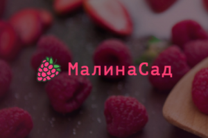 Интернет-магазин ''МалинаСад''
