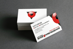 Визитки «Системы видеонаблюдения»